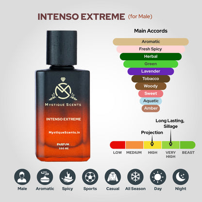 Intenso Extreme