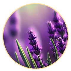 Aromatic